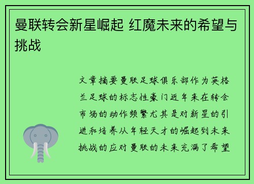 曼联转会新星崛起 红魔未来的希望与挑战